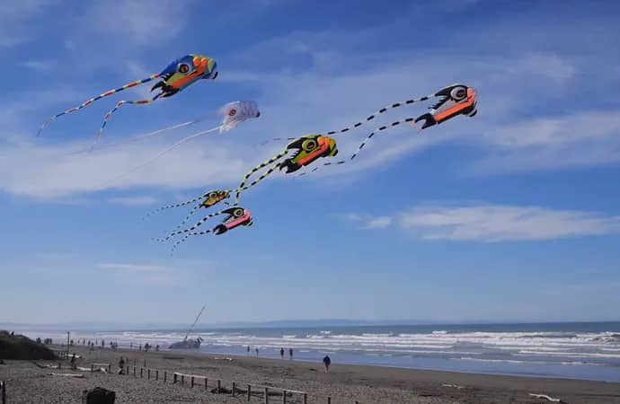 Different Types of Kites (Shape of kite)